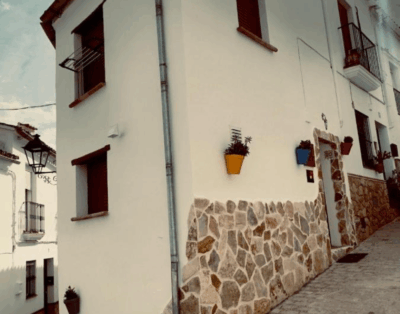 Referencia 305 Safari